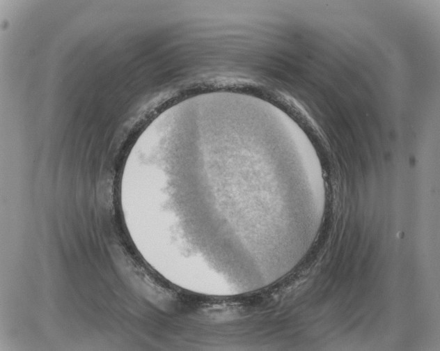 X0000086000447200704201835