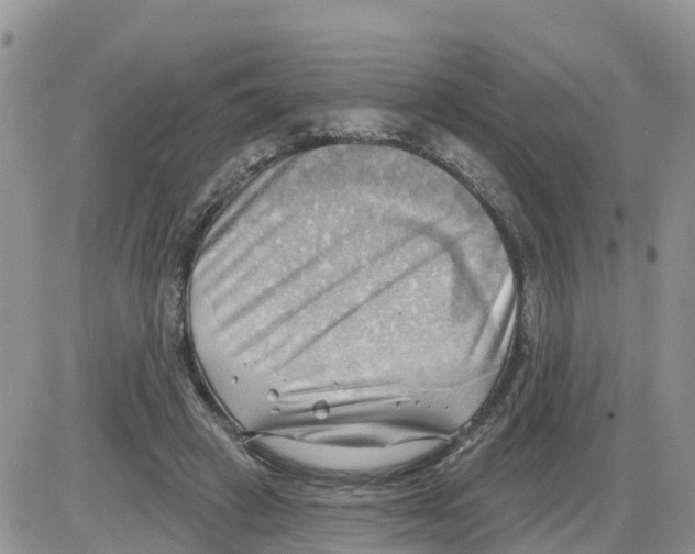 X0000086000449200704201835