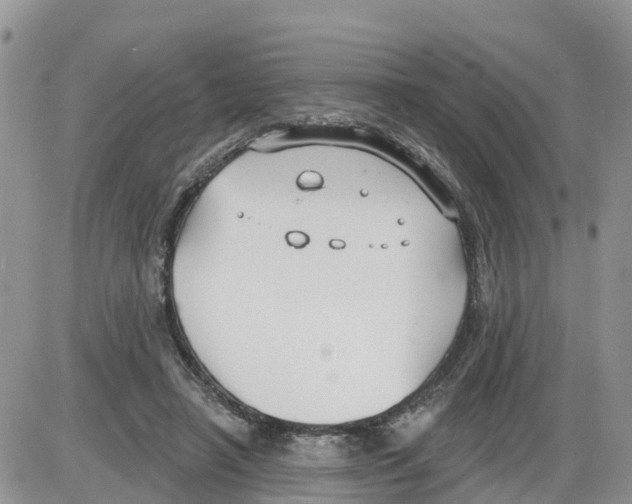 X0000086000450200704201835