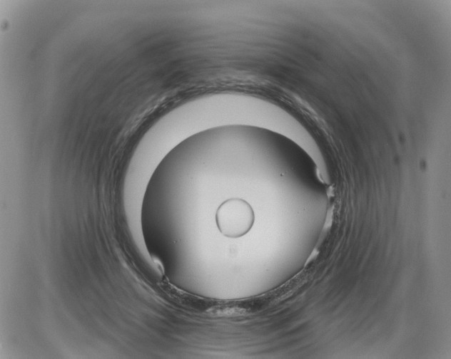 X0000086000452200704201835