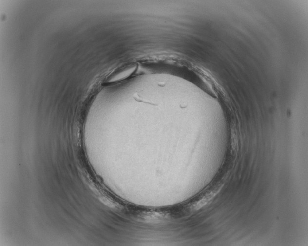 X0000086000453200704201835