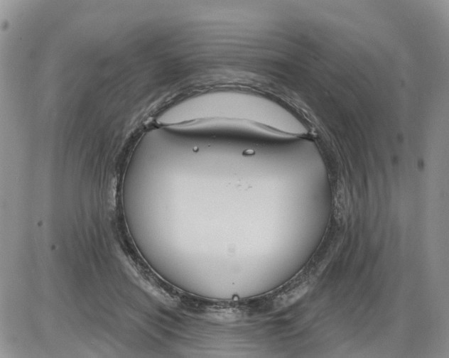 X0000086000454200704201835