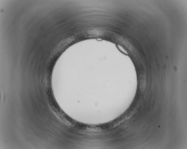 X0000086000455200704201835