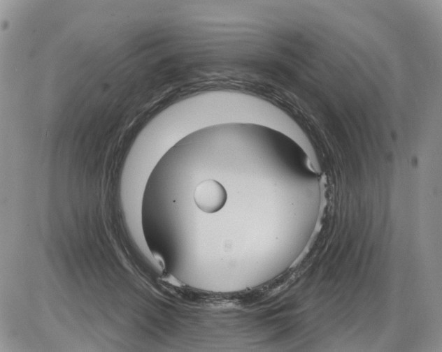 X0000086000456200704201835