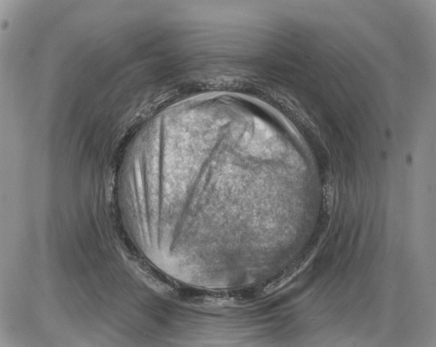 X0000086000458200704201835