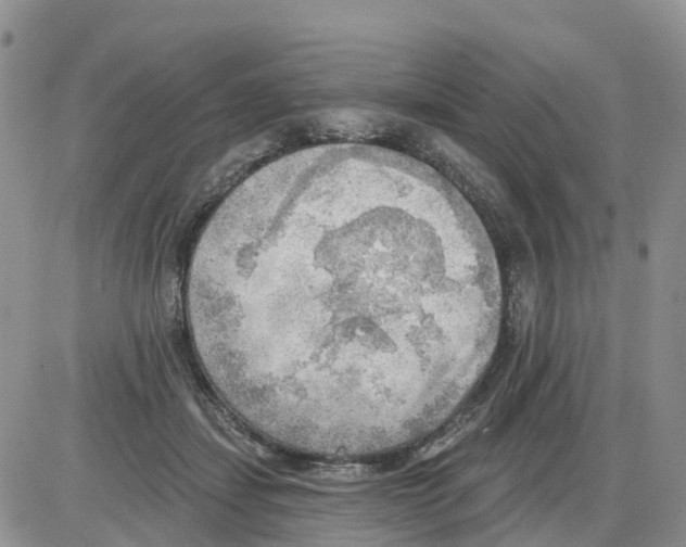 X0000086000459200704201835