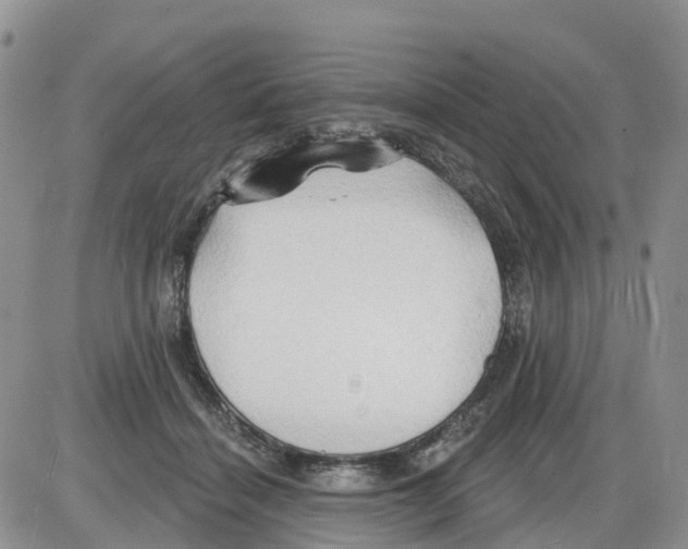 X0000086000460200704201835