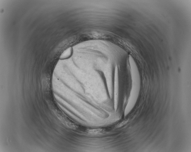 X0000086000461200704201835