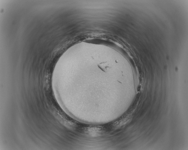 X0000086000462200704201836