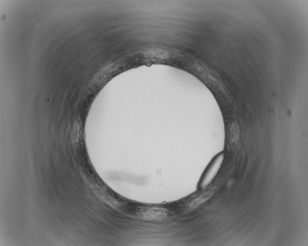 X0000086000463200704201836