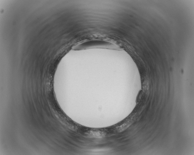 X0000086000464200704201836