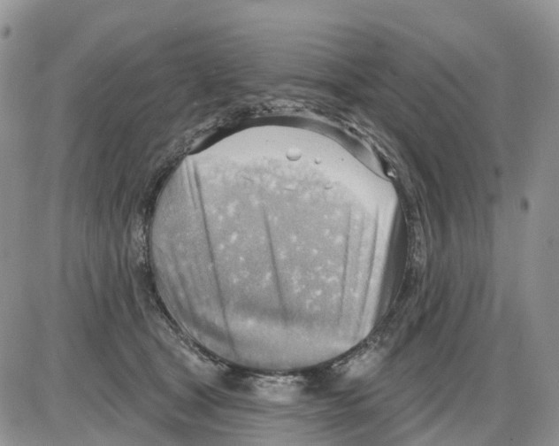 X0000086000465200704201836