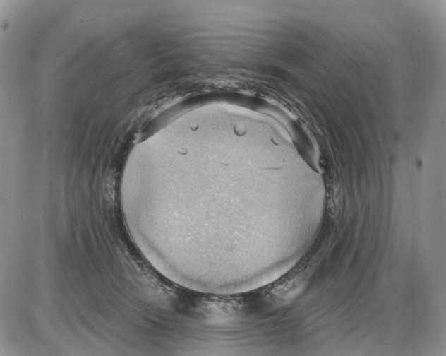 X0000086000466200704201836