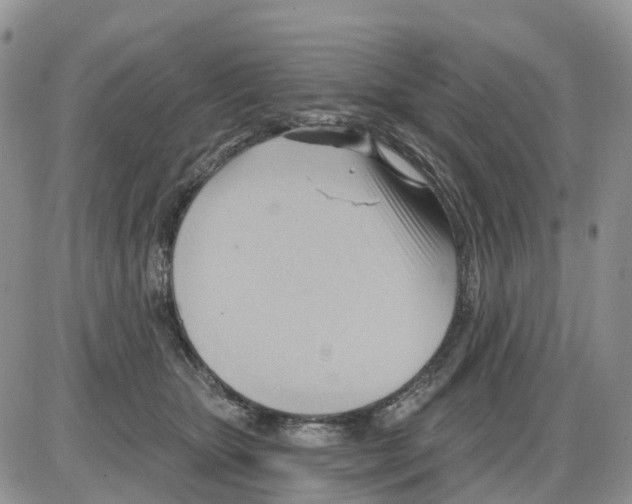 X0000086000467200704201836