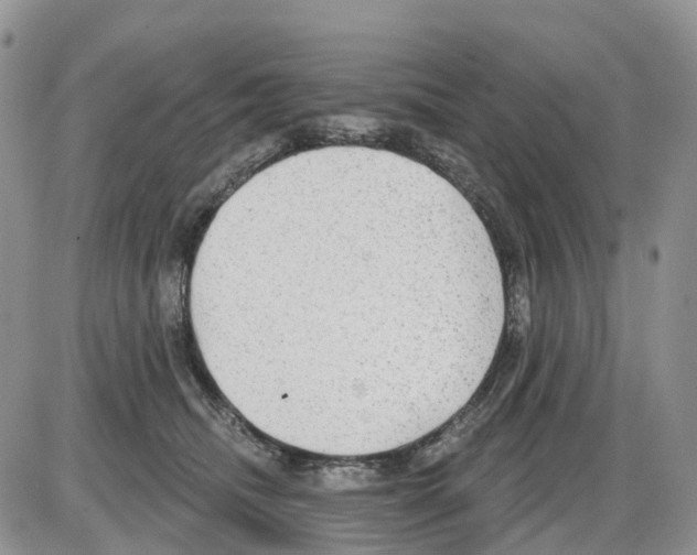 X0000086000468200704201836