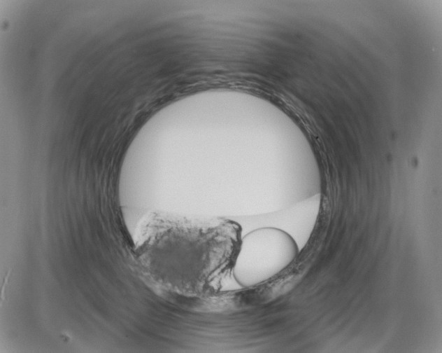 X0000086000469200704201836