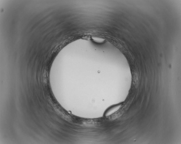 X0000086000470200704201836