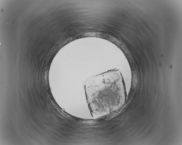 X0000086000473200704201836