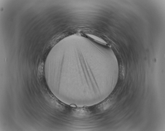 X0000086000475200704201836