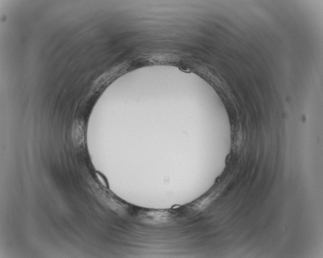 X0000086000478200704201836