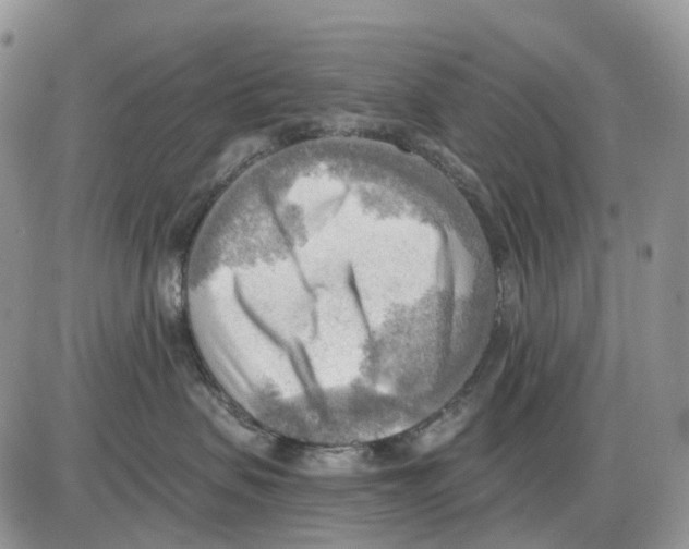 X0000086000479200704201836