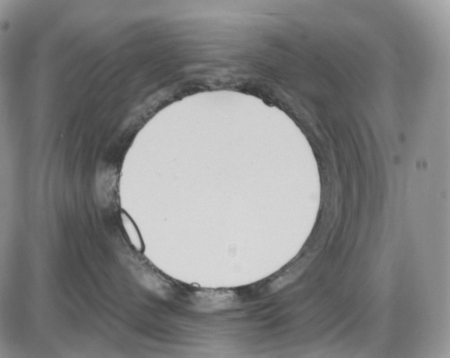 X0000086000480200704201836