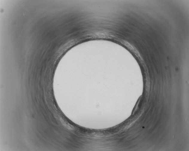 X0000086000481200704201835