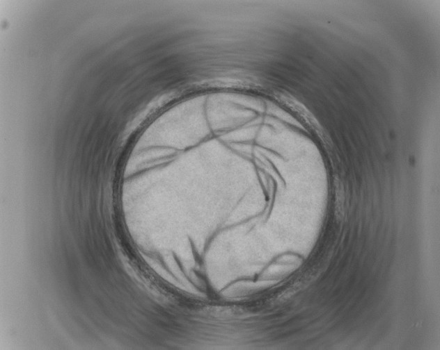 X0000086000482200704201835