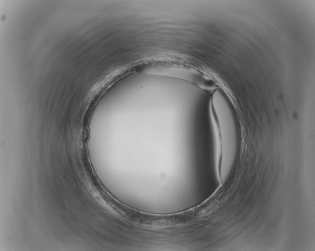 X0000086000485200704201835