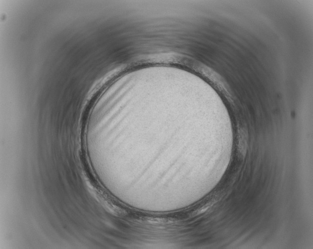 X0000086000486200704201835