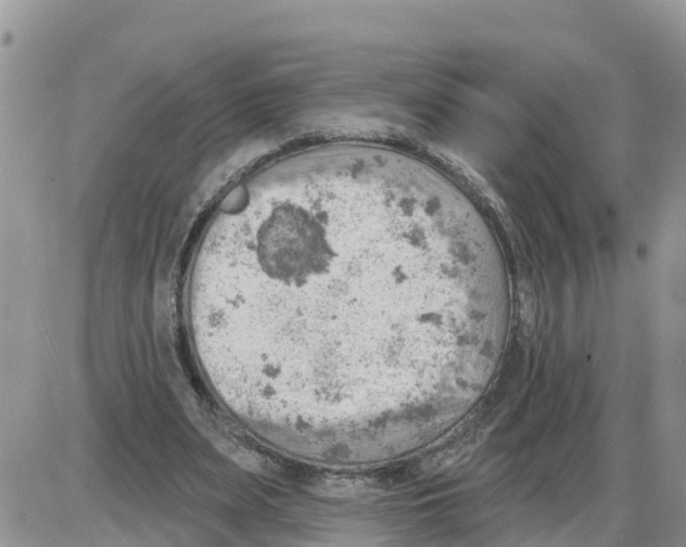 X0000086000487200704201835