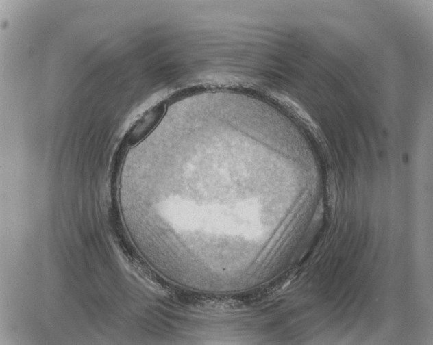 X0000086000488200704201835