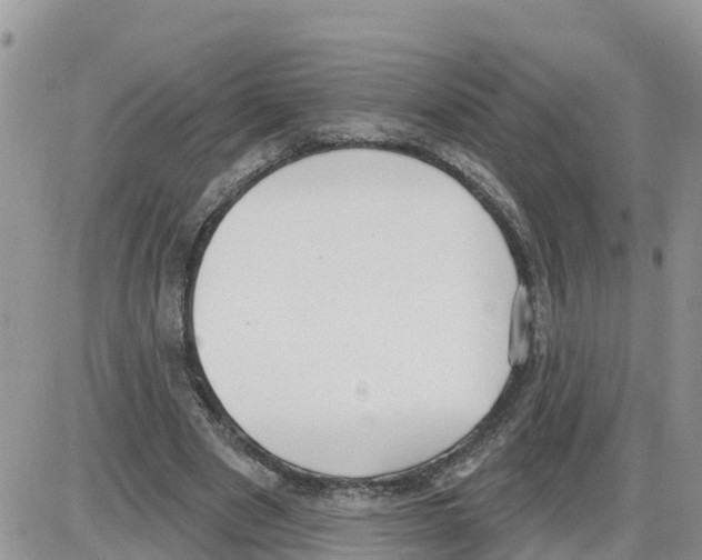 X0000086000489200704201835