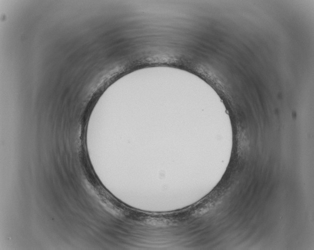 X0000086000490200704201835