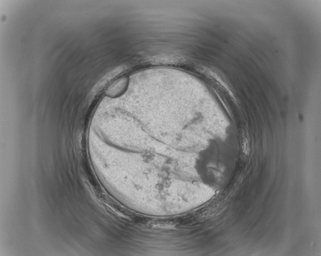 X0000086000491200704201835