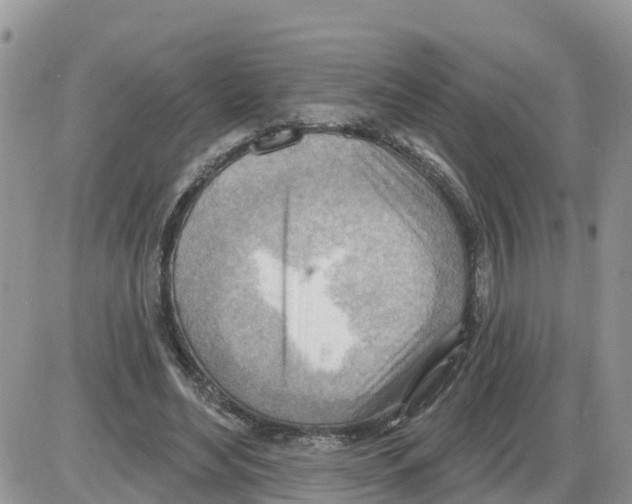 X0000086000492200704201835