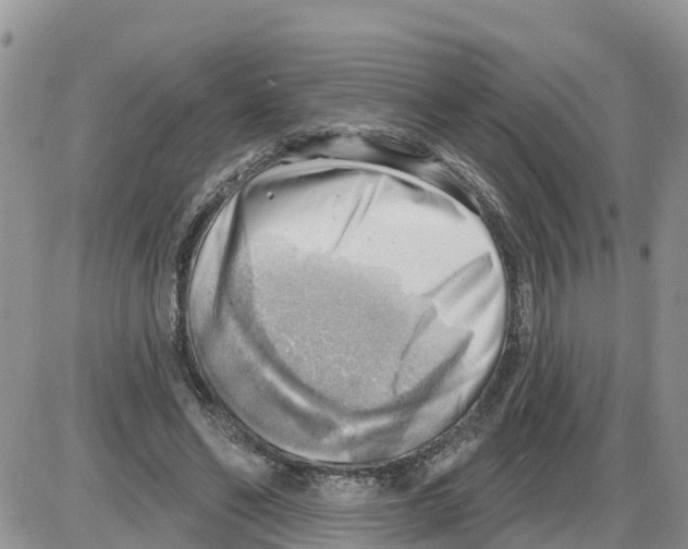 X0000086000494200704201835