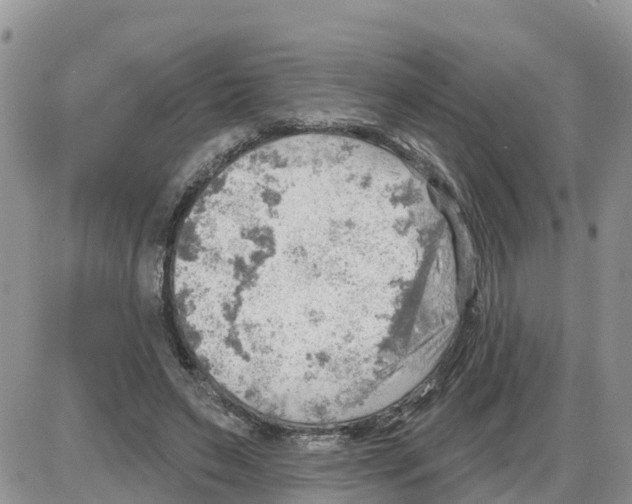 X0000086000495200704201835