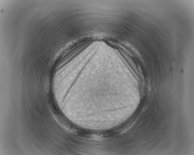 X0000086000496200704201835