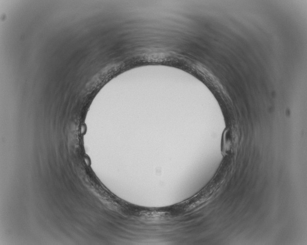 X0000086000497200704201835