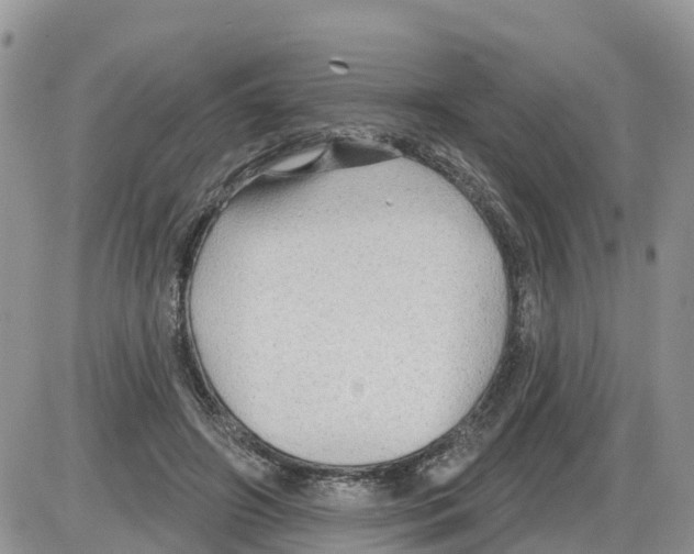 X0000086000498200704201835