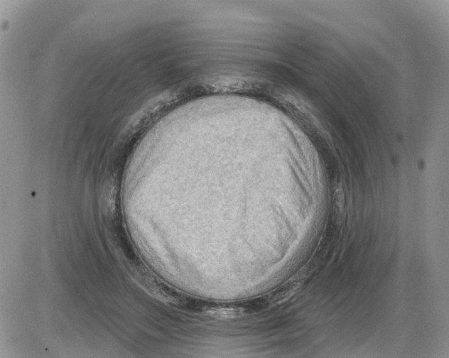 X0000086000499200704201835