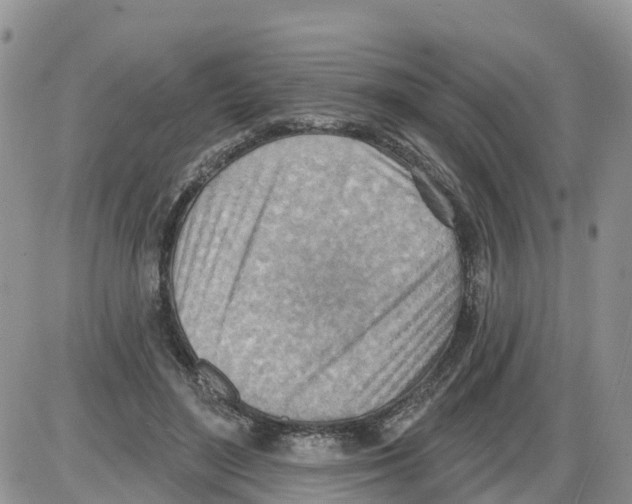 X0000086000500200704201835