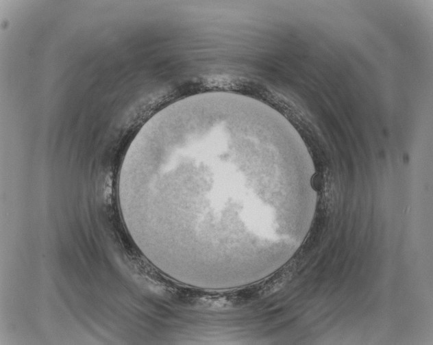 X0000086000502200704201835