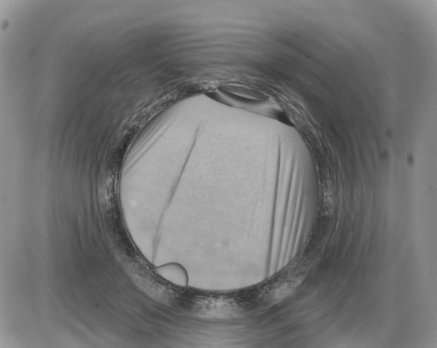 X0000086000503200704201835