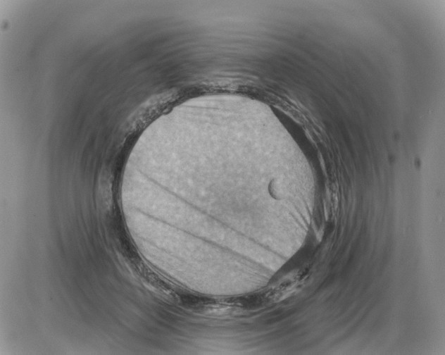 X0000086000504200704201835