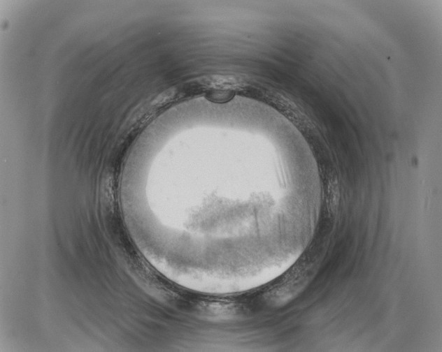 X0000086000506200704201835