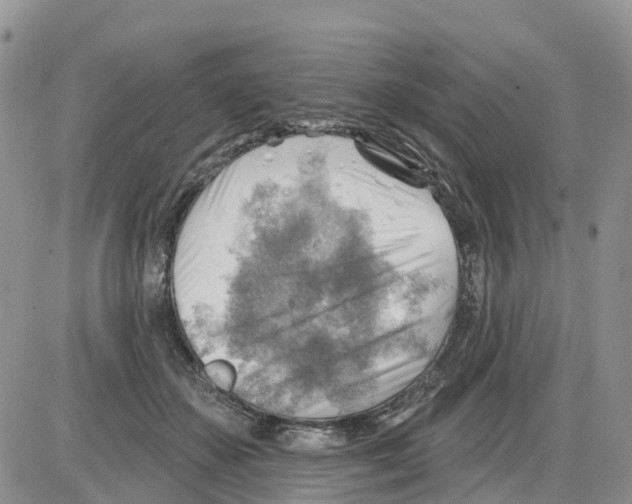 X0000086000507200704201835