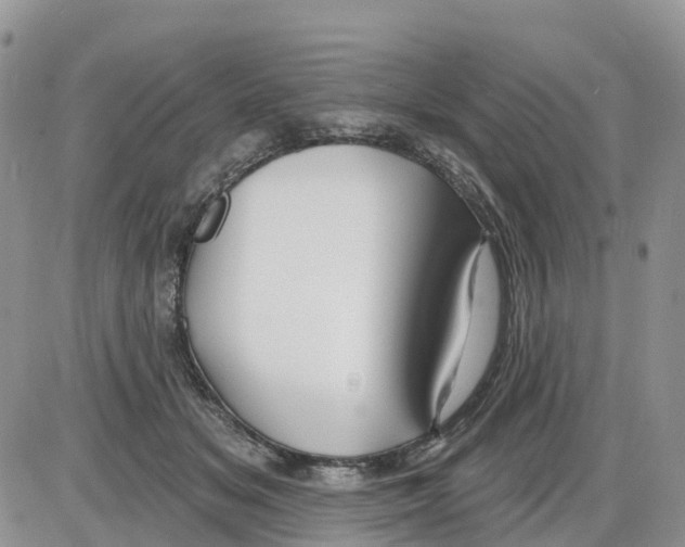 X0000086000509200704201835