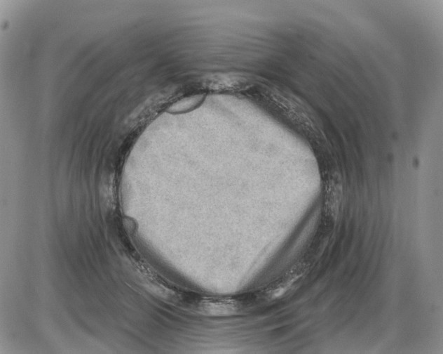 X0000086000510200704201835